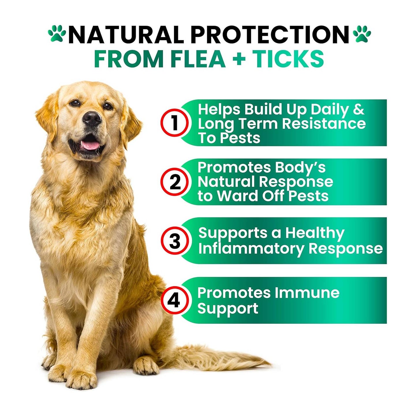 FurShield™ Natural Flea & Tick Defense Chews