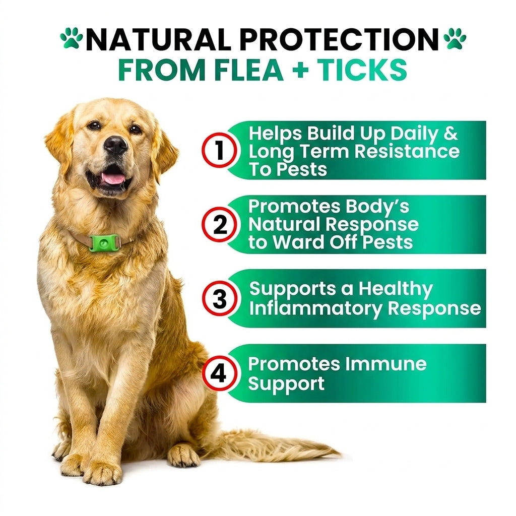 FurShield™ Flea & Tick Defense Collar Pendant - FREE Today