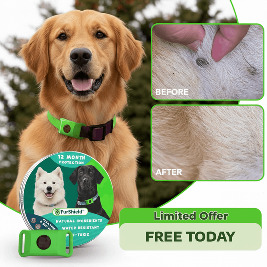 FurShield™ Flea & Tick Defense Collar Pendant - FREE Today