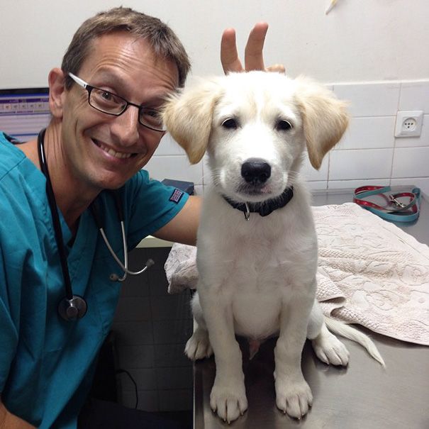 Dr. Mark Allen, DVM